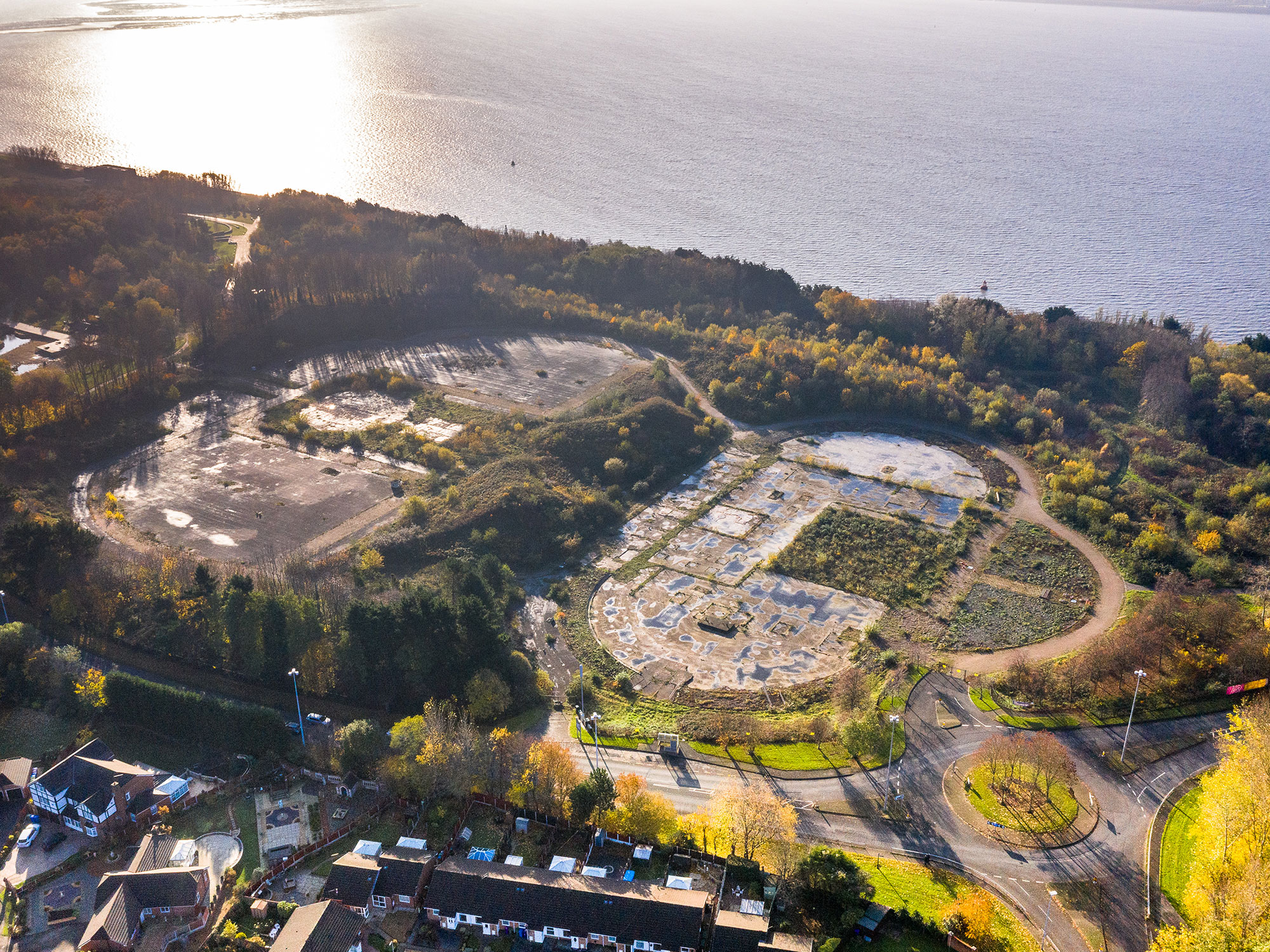 Festival Gardens - Ion Development